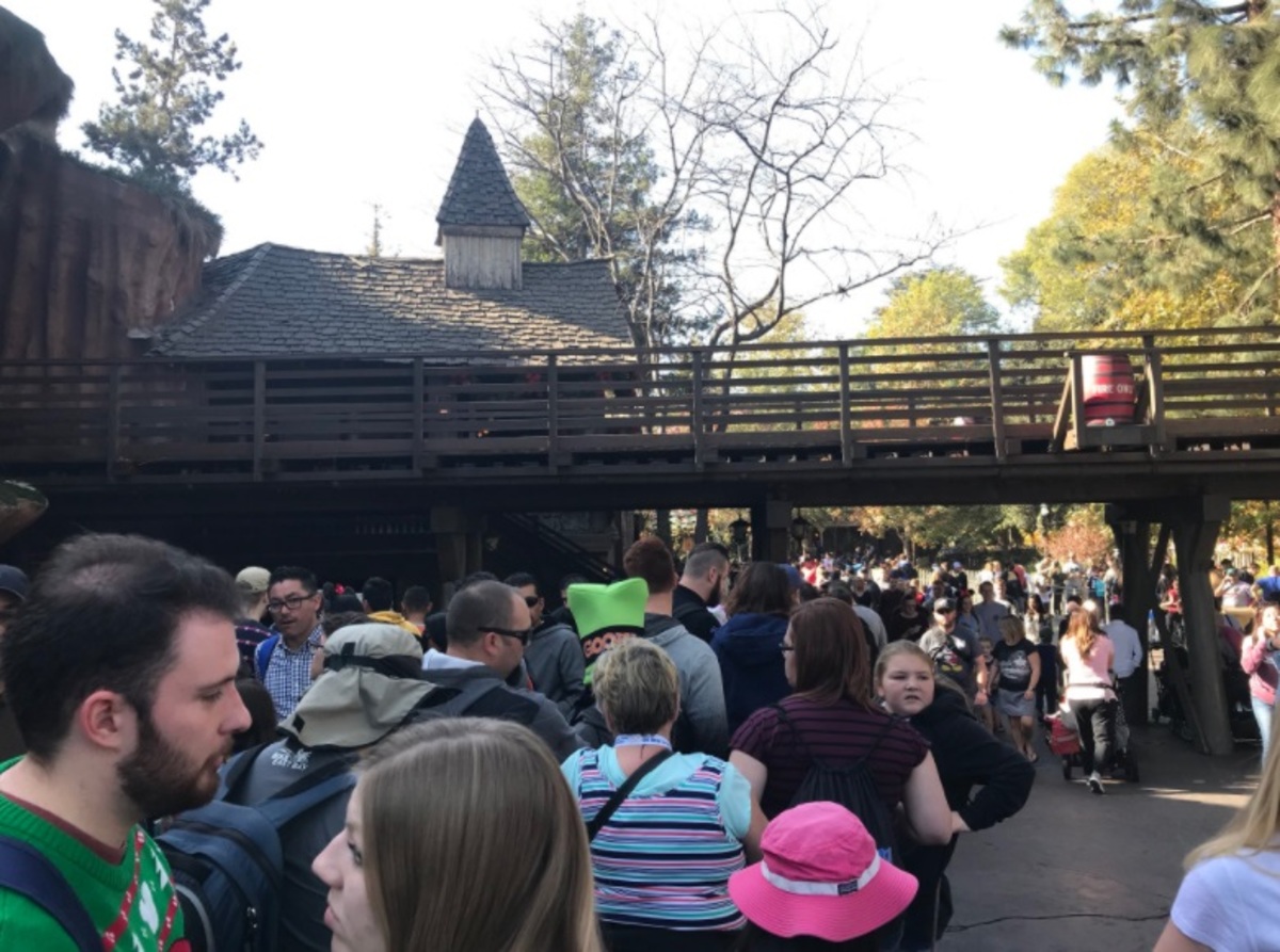 Πανικός στη Disneyland λόγω… διακοπής ρεύματος! [pics]