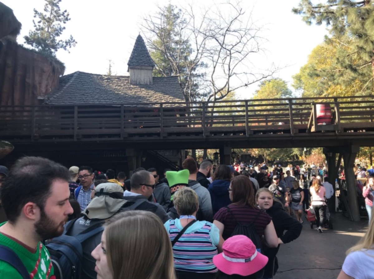 Πανικός στη Disneyland λόγω… διακοπής ρεύματος! [pics]