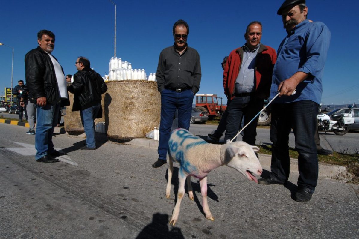 ΕΛΓΑ: Αύριο οι αποζημιώσεις σε 1.081 δικαιούχους κτηνοτρόφους