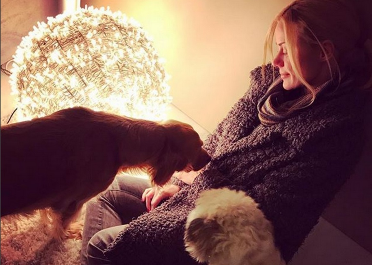 Ζέτα Μακρυπούλια: Το εντυπωσιακό χριστουγεννιάτικο δέντρο που της «χάλασε» ο γάτος της