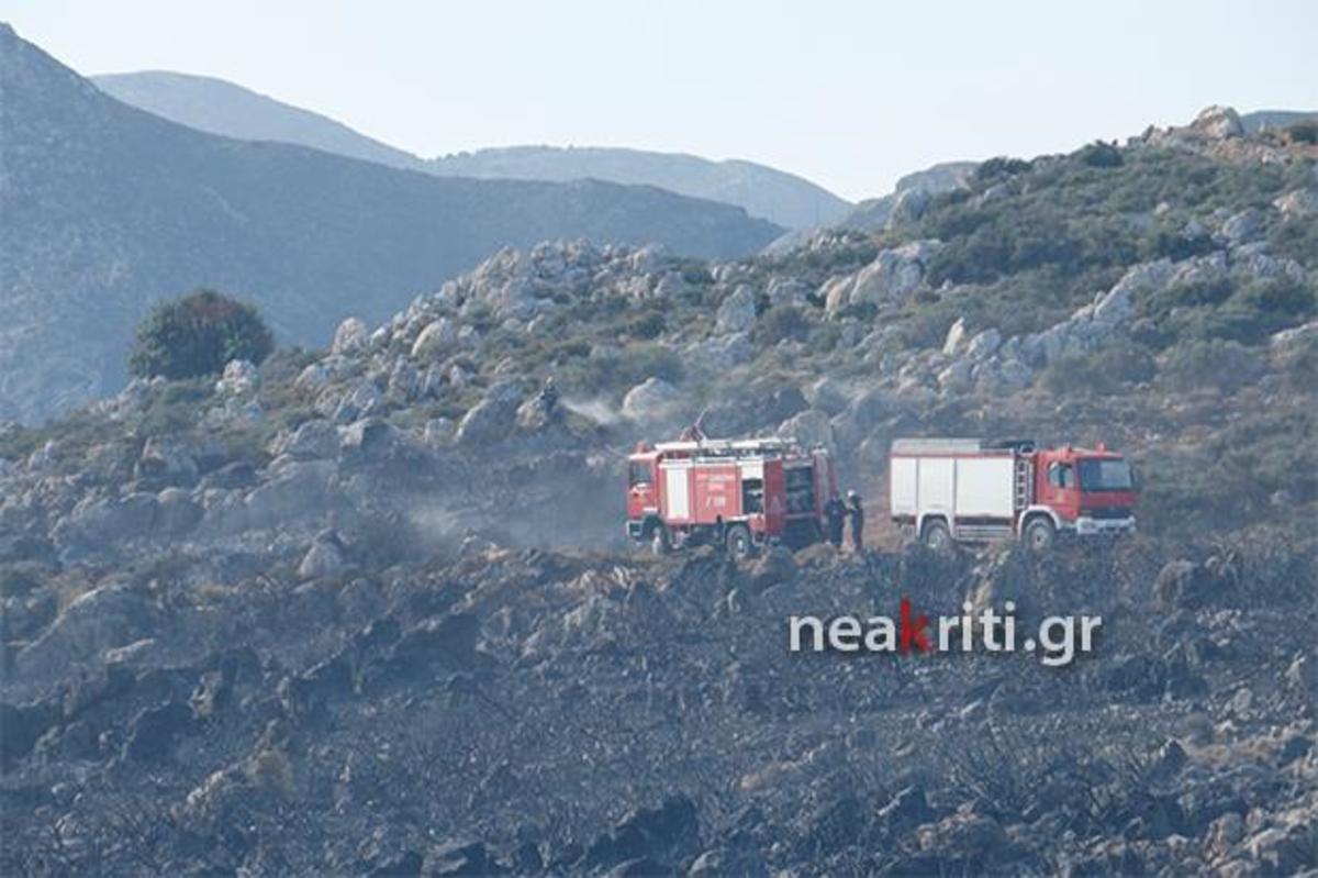 Κρήτη: Φωτιά κοντά στο δάσος της Κέρης – Επί τόπου δυνάμεις της πυροσβεστικής [vid]