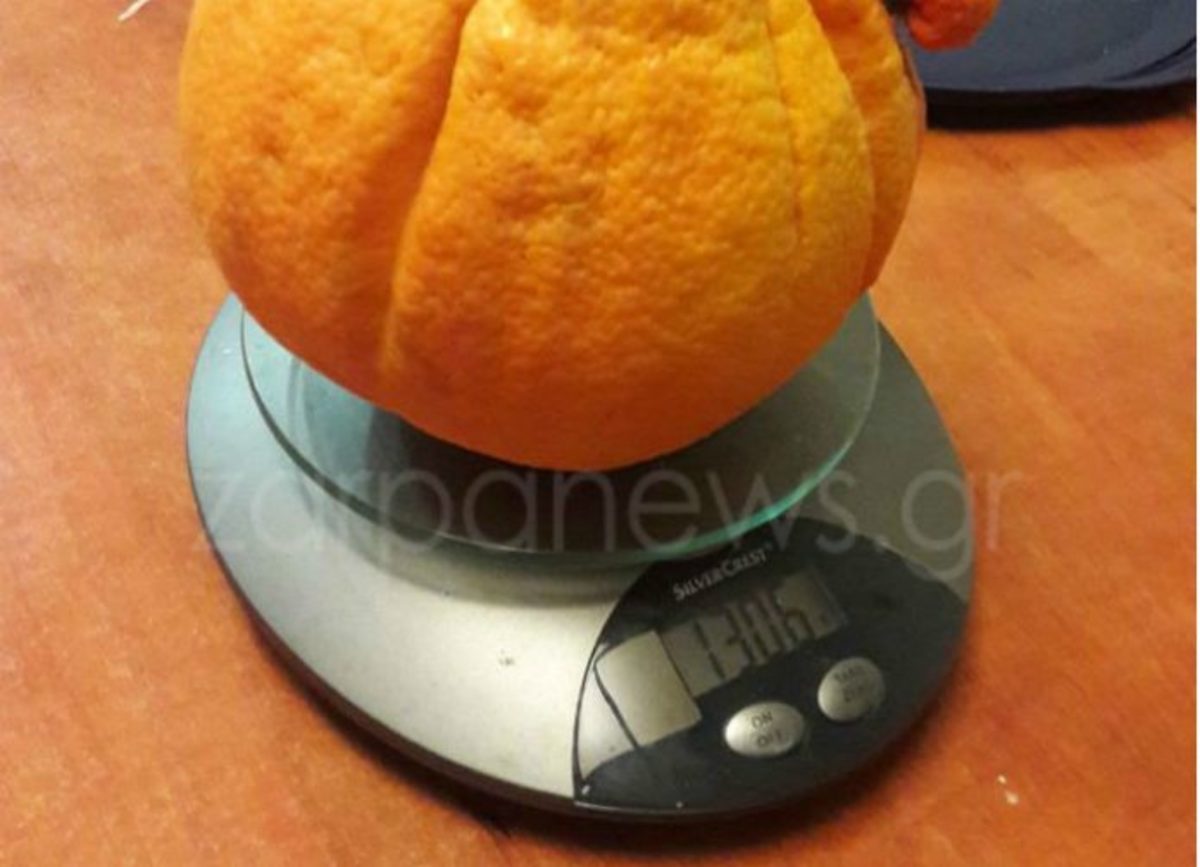 Χαμός στα Χανιά με πορτοκάλι γίγας! [pics]