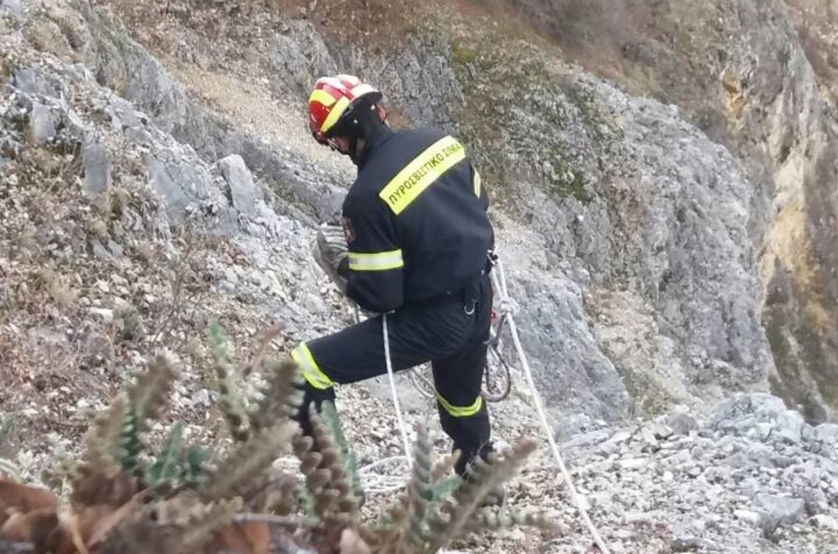 Δύσκολη επιχείρηση για τη διάσωση σκύλου στην Κοζάνη [vid]