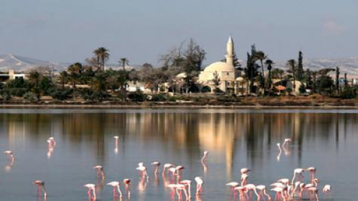 Συναρπαστικές εικόνες μαγείας με ροζ φλαμίνγκο στις αλυκές του Χαλά Σουλτάν Τεκέ [vid]