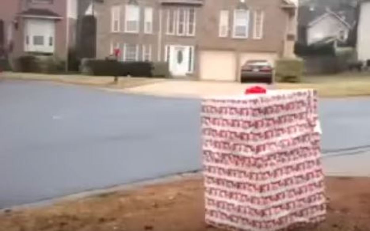 Το χριστουγεννιάτικο δώρο δεν ήταν… αυτό που περίμενε ο μπόμπιρας