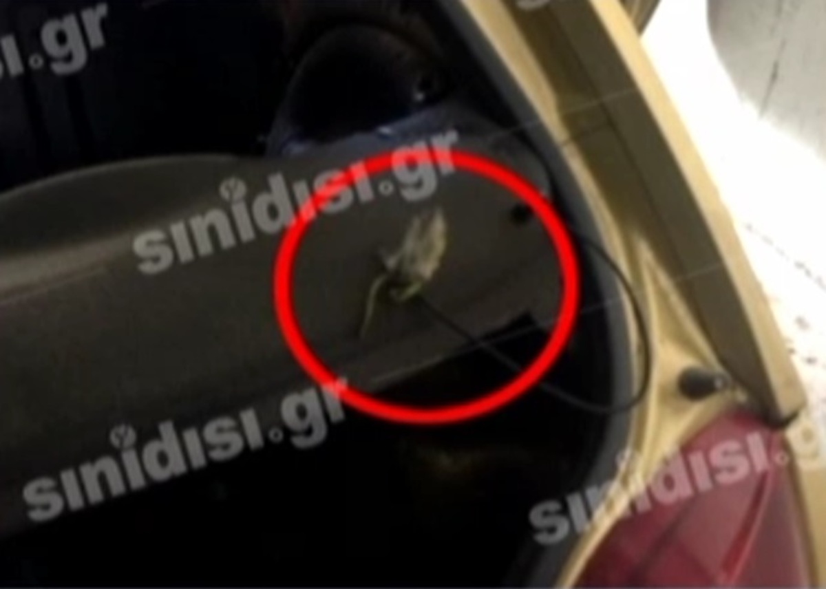 Ειρήνη Λαγούδη: Βρέθηκε αυτοσχέδιο φυτίλι στο πίσω μέρος του αυτοκινήτου της! | Newsit.gr