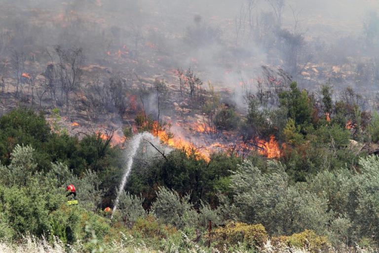 Αποτέλεσμα εικόνας για αυλωνα φωτια