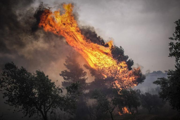 Ηλεία: Υπό έλεγχο η μεγάλη φωτιά – Στον εισαγγελέα ο 46χρονος που συνελήφθη για εμπρησμό! | Newsit.gr Ηλεία: Υπό έλεγχο η μεγάλη φωτιά – Στον εισαγγελέα ο 46χρονος που συνελήφθη για εμπρησμό! | Newsit.gr