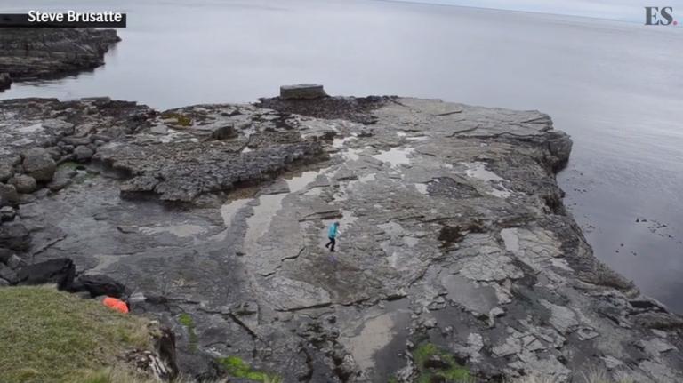 Image result for πατημασιές δεινοσαύρων