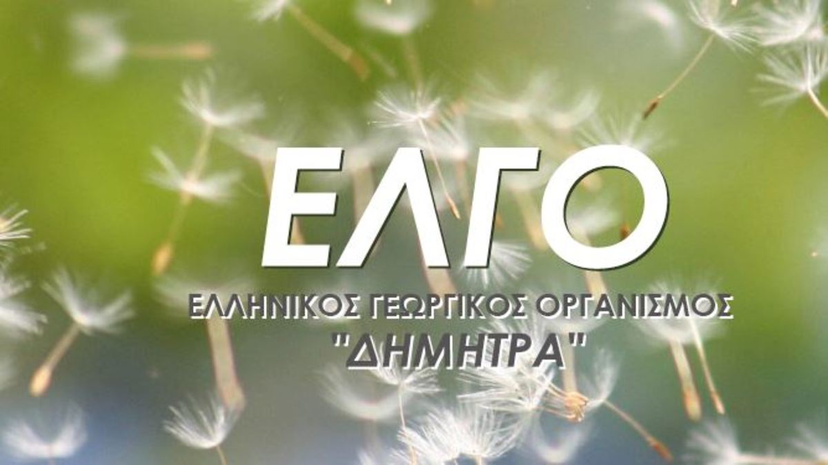 Νέος πρόεδρος του ΕΛΓΟ – ΔΗΜΗΤΡΑ ο Νίκος Κατής – Διευθύνων σύμβουλος ο πρώην διοικητής του ΕΦΚΑ | Newsit.gr Νέος πρόεδρος του ΕΛΓΟ – ΔΗΜΗΤΡΑ ο Νίκος Κατής – Διευθύνων σύμβουλος ο πρώην διοικητής του ΕΦΚΑ | Newsit.gr