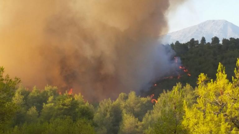 Εύβοια: Η φωτιά κατακαίει τα πάντα στο πέρασμα της για δεύτερη μέρα | Newsit.gr