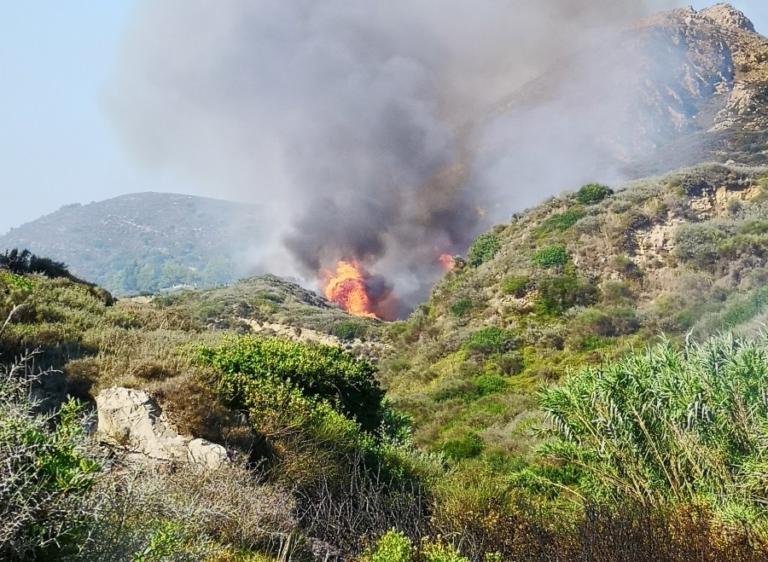 Υπό μερικό έλεγχο η φωτιά στη Ζάκυνθο – Μεγάλη επιχείρηση από αέρος | Newsit.gr Υπό μερικό έλεγχο η φωτιά στη Ζάκυνθο – Μεγάλη επιχείρηση από αέρος | Newsit.gr