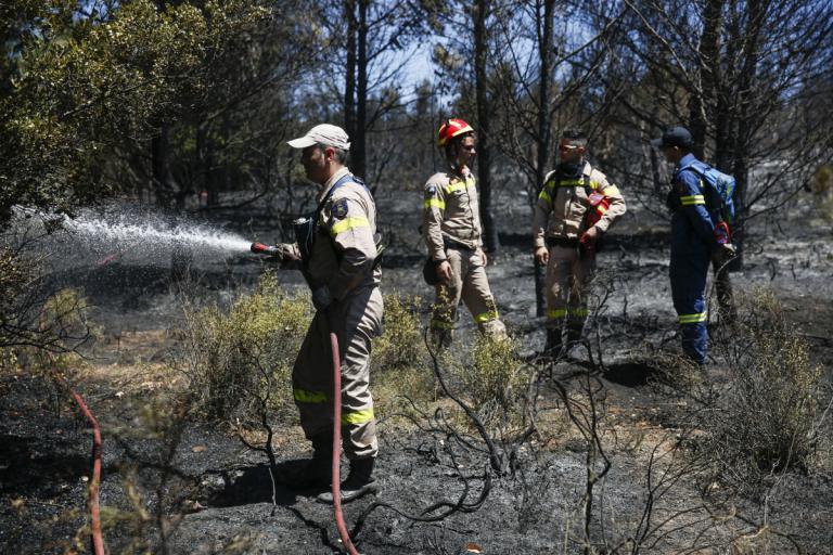 Μεγάλη φωτιά στην Σαρωνίδα | Newsit.gr Μεγάλη φωτιά στην Σαρωνίδα | Newsit.gr