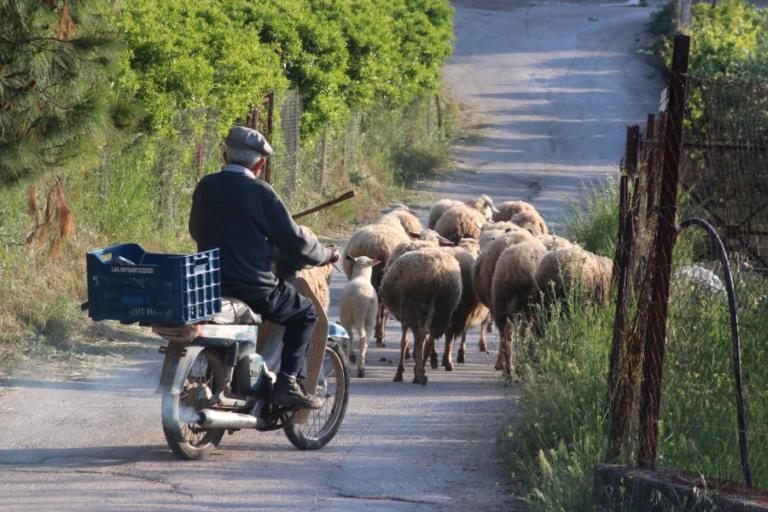 Δίπλωμα οδήγησης… ξανά στα 74 – «Απολύτως λογικό» λέει ο Σπίρτζης | Newsit.gr Δίπλωμα οδήγησης… ξανά στα 74 – «Απολύτως λογικό» λέει ο Σπίρτζης | Newsit.gr