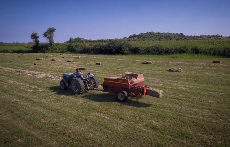 ΟΠΕΚΕΠΕ: Πληρωμές 3,7 εκατ. ευρώ για πρόωρες συνταξιοδοτήσεις και αναδιαρθρώσεις αμπελώνων | Newsit.gr ΟΠΕΚΕΠΕ: Πληρωμές 3,7 εκατ. ευρώ για πρόωρες συνταξιοδοτήσεις και αναδιαρθρώσεις αμπελώνων | Newsit.gr