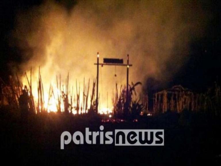 Φωτιά στην περιοχή Καπελέτο της Ηλείας! Μεγάλη κινητοποίηση της Πυροσβεστικής | Newsit.gr Φωτιά στην περιοχή Καπελέτο της Ηλείας! Μεγάλη κινητοποίηση της Πυροσβεστικής | Newsit.gr