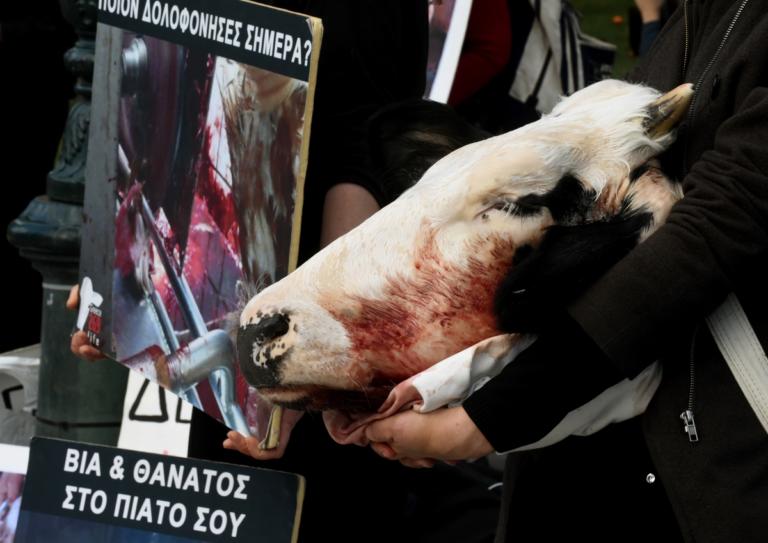 Greek Vegans: Η συγκλονιστική καμπάνια που σόκαρε τους Αθηναίους – Αυξάνονται παγκόσμια οι οπαδοί | Newsit.gr Greek Vegans: Η συγκλονιστική καμπάνια που σόκαρε τους Αθηναίους – Αυξάνονται παγκόσμια οι οπαδοί | Newsit.gr
