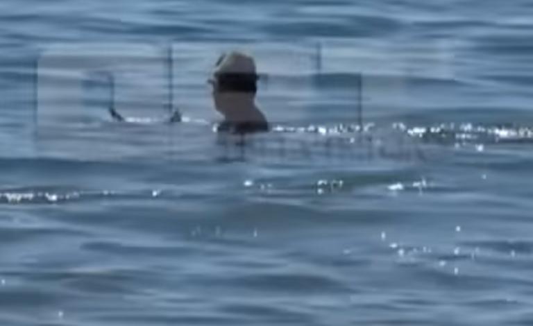 Ηλεία: Έπεσε έτσι στη θάλασσα και έζησε στιγμές που θα θυμάται για πάντα – Το μπάνιο πέρασε σε δεύτερη μοίρα – video | Newsit.gr