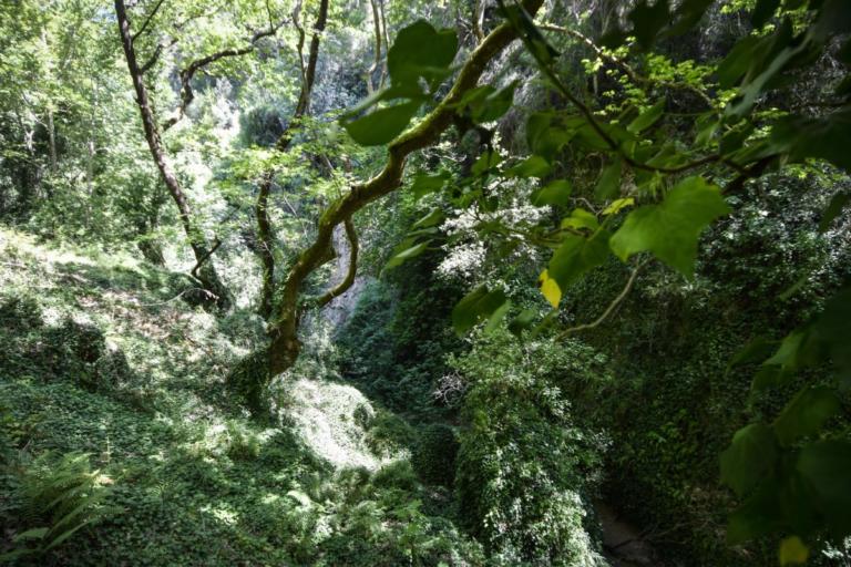 Κρήτη: Κλείνει την Τρίτη το φαράγγι της Σαμαριάς | Newsit.gr