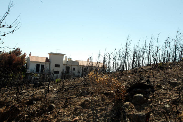 Άλλη μια μήνυση κατά παντός υπευθύνου για την φονική πυρκαγιά της 23ης Ιουλίου | Newsit.gr Άλλη μια μήνυση κατά παντός υπευθύνου για την φονική πυρκαγιά της 23ης Ιουλίου | Newsit.gr