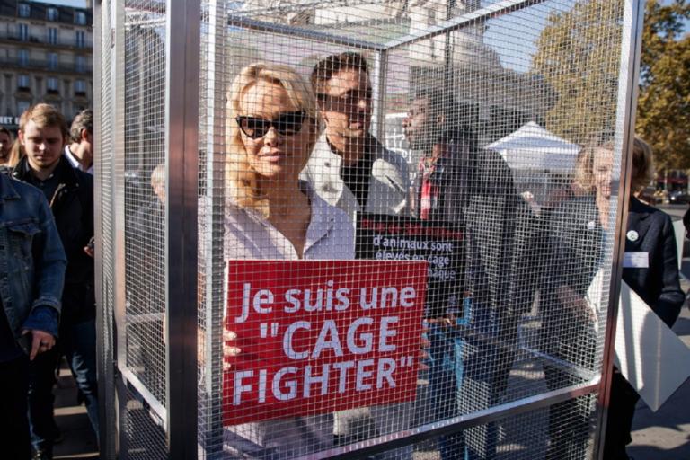 Σε “κλουβί” η Πάμελα Άντερσον για να καταγγείλει τον βασανισμό των ζώων | Newsit.gr Σε “κλουβί” η Πάμελα Άντερσον για να καταγγείλει τον βασανισμό των ζώων | Newsit.gr