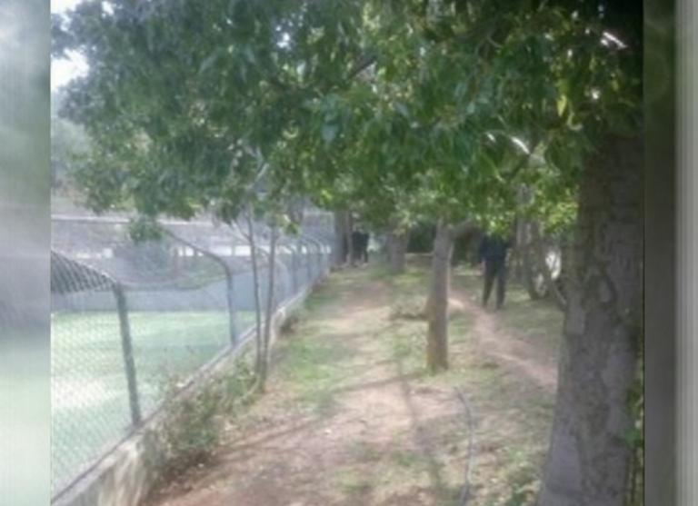 Άνδρας βρέθηκε απαγχονισμένος στο Άλσος Βεΐκου | Newsit.gr Άνδρας βρέθηκε απαγχονισμένος στο Άλσος Βεΐκου | Newsit.gr