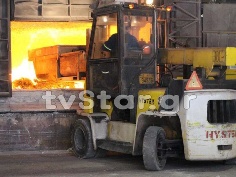 Στην πυρά τα χασισόδεντρα που βρέθηκαν στον Παρνασσό – video | Newsit.gr Στην πυρά τα χασισόδεντρα που βρέθηκαν στον Παρνασσό – video | Newsit.gr