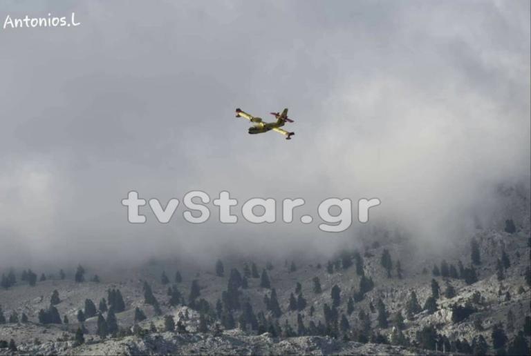 ÎÎ±Î¯Î³ÎµÏÎ±Î¹ Î´Î¬ÏÎ¿Ï Î¼Îµ Î­Î»Î±ÏÎ± ÏÏÎ·Î½ ÎÏÎ²Î¿Î¹Î± â Î£ÏÎ¬ÏÏÎ· ÏÎ¬Î½Ï Î±ÏÏ 80 ÏÏÏÎ­Î¼Î¼Î±ÏÎ± [pics] | Newsit.gr