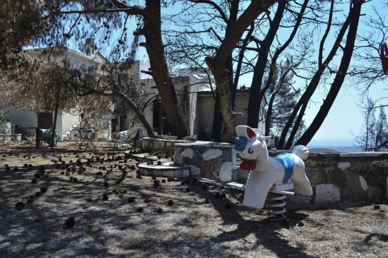 Νία Βαρντάλος και Τζον Στάμος κινητοποιούν το Χόλιγουντ για το καμένο Λύρειο Ορφανοτροφείο | Newsit.gr Νία Βαρντάλος και Τζον Στάμος κινητοποιούν το Χόλιγουντ για το καμένο Λύρειο Ορφανοτροφείο | Newsit.gr