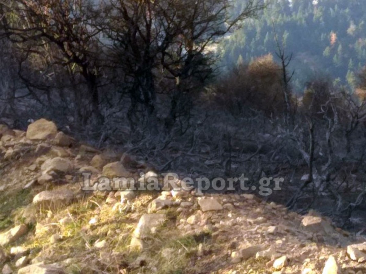 Εύβοια: Υπό έλεγχο η πυρκαγιά στη Σέτα – video | Newsit.gr Εύβοια: Υπό έλεγχο η πυρκαγιά στη Σέτα – video | Newsit.gr