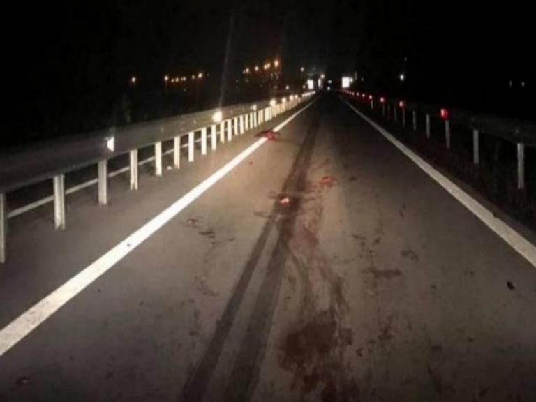 Σαν θρίλερ! Τροχαίο με αγριογούρουνα στην Φθιώτιδα – Προσοχή, σκληρές εικόνες | Newsit.gr Σαν θρίλερ! Τροχαίο με αγριογούρουνα στην Φθιώτιδα – Προσοχή, σκληρές εικόνες | Newsit.gr