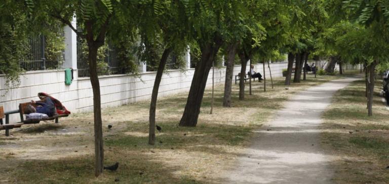 Άνδρας βρέθηκε κρεμασμένος στο Ζάππειο | Newsit.gr Άνδρας βρέθηκε κρεμασμένος στο Ζάππειο | Newsit.gr