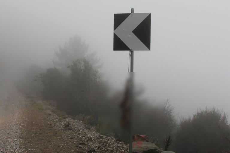 Λέσβος: Κρέμασαν νεκρή αλεπού σε πινακίδα – Σκληρές εικόνες σε δασική περιοχή! | Newsit.gr Λέσβος: Κρέμασαν νεκρή αλεπού σε πινακίδα – Σκληρές εικόνες σε δασική περιοχή! | Newsit.gr