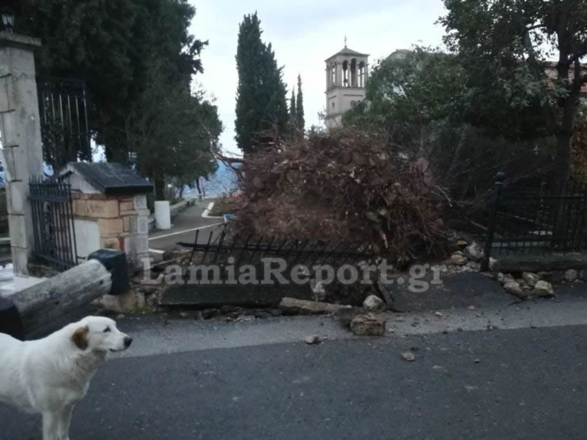 Λαμία: Αποκαλυπτικές εικόνες καταστροφής σε σπίτια και δρόμους από την κακοκαιρία – Ξηλώθηκαν ακόμα και σκεπές [pics]