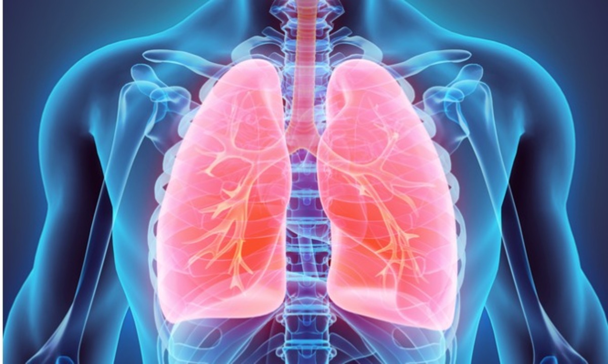 Κάπνισμα: 6 τροφές που βοηθούν να καθαρίσετε τους πνεύμονες από τη νικοτίνη