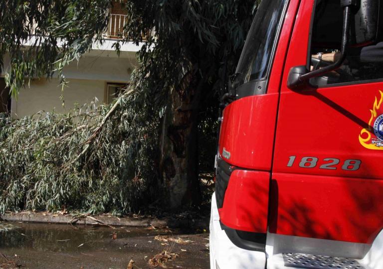 Τρίκαλα: Έκλεισε η εθνική οδός λόγω πτώσης δέντρου