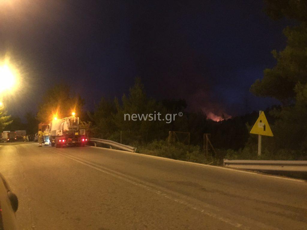 ΔΕΗ Κάλαμος φωτιά πυρκαγιά