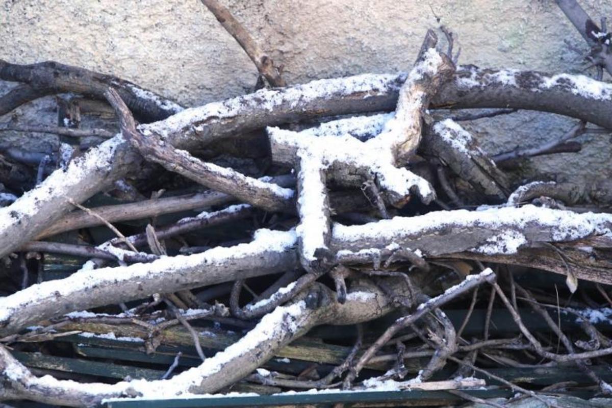 Καιρός: Αναλυτική πρόβλεψη για σήμερα