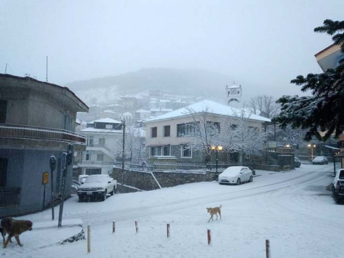 Άσπρισαν οι ορεινές περιοχές της Λάρισας [pics]