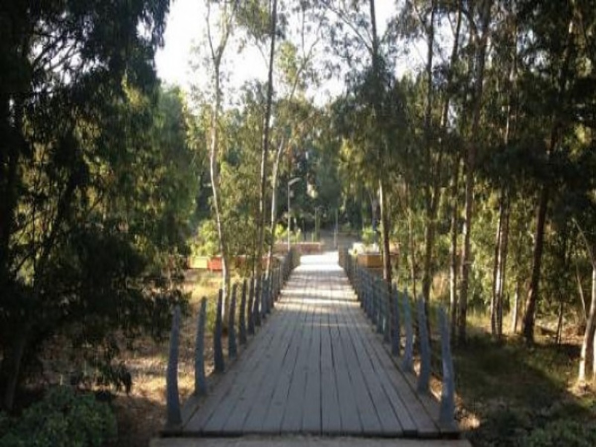 Τρόμος σε πάρκο – Επιδειξίας «δρομέας» επιτίθεται σε γυναίκες