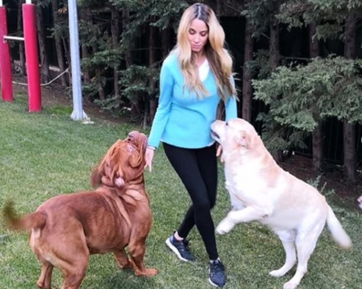 Δούκισσα Νομικού: Τα παιχνίδια με τα σκυλιά της στον κήπο της, στο 8ο μήνα της εγκυμοσύνης της! [pics]