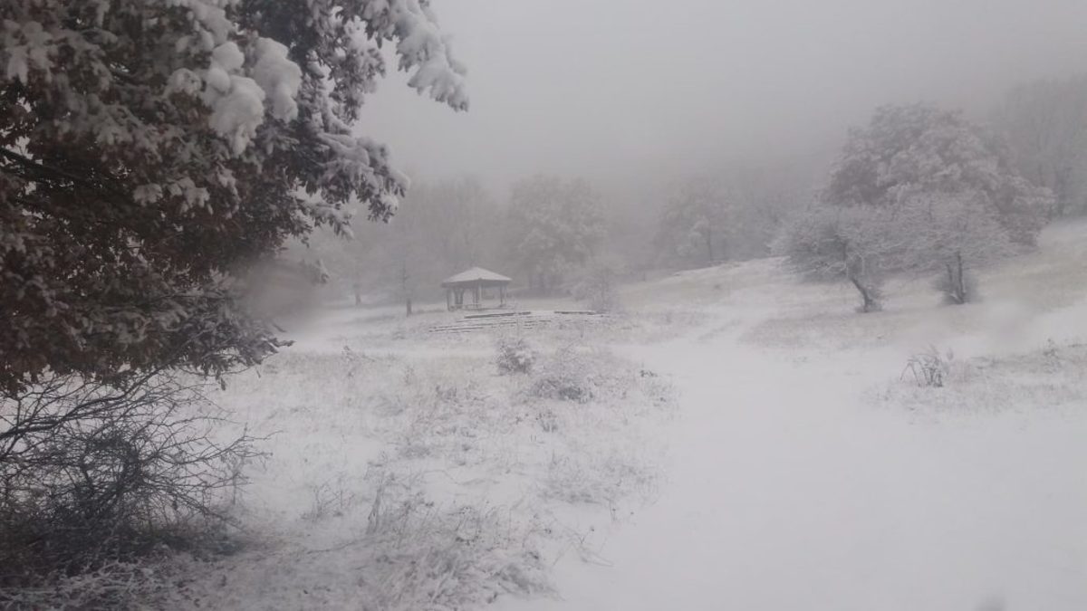 Μακεδονία: Χιονίζει σε Κοζάνη, Καστοριά, Φλώρινα και Γρεβενά – Μαγικά τοπία στα λευκά [pic, vids]