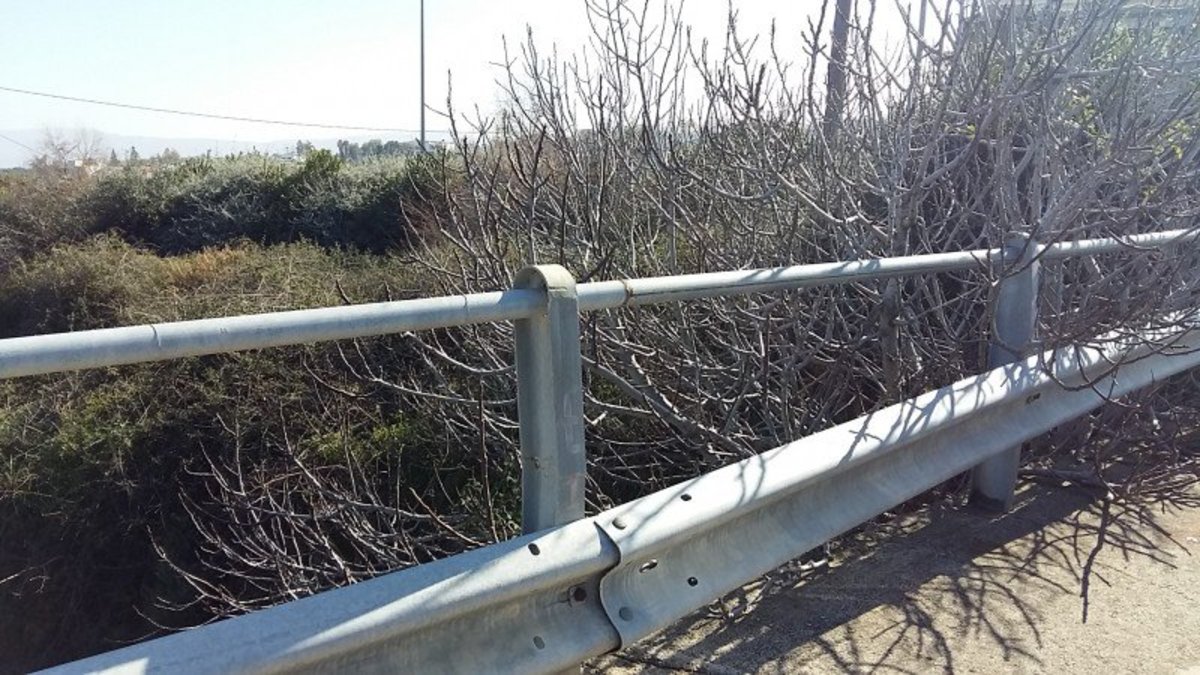 Χανιά: Πήδηξε από αυτή τη γέφυρα μετά την τελευταία συζήτηση – Τα νεότερα για την 17χρονη μαθήτρια [pics]