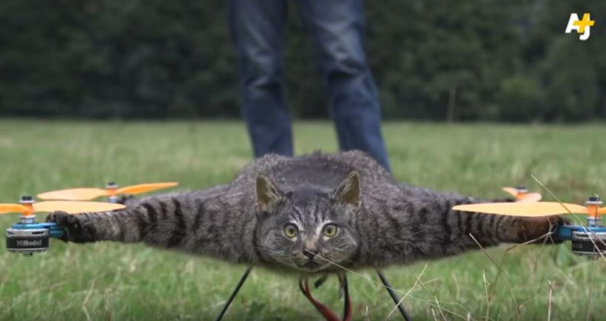 Μετέτρεψε τη νεκρή γάτα του σε drone