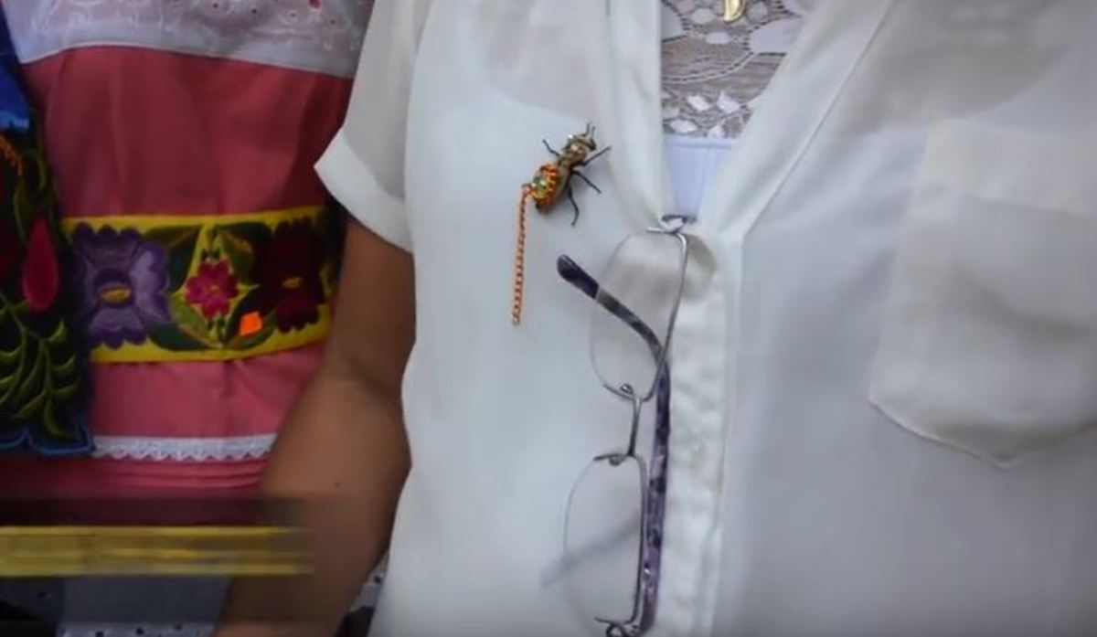 Στο Μεξικό φορούν για αξεσουάρ ζωντανά σκαθάρια
