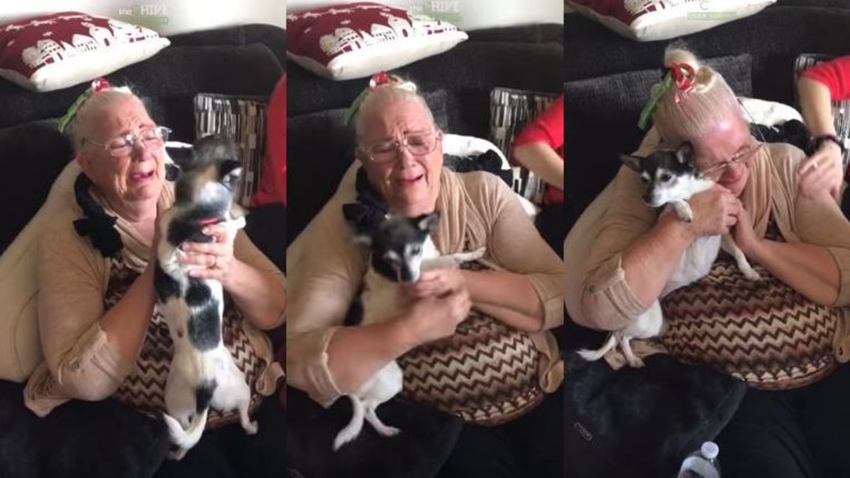 Γιαγιά κλαίει από συγκίνηση όταν τα εγγόνια της της έκαναν δώρο ένα κουτάβι