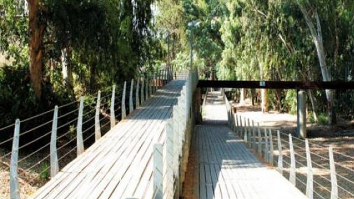 Σοκάρουν οι επιθέσεις επίδοξου βιαστή σε πάρκο – Έτσι πλησιάζει τα θύματά του