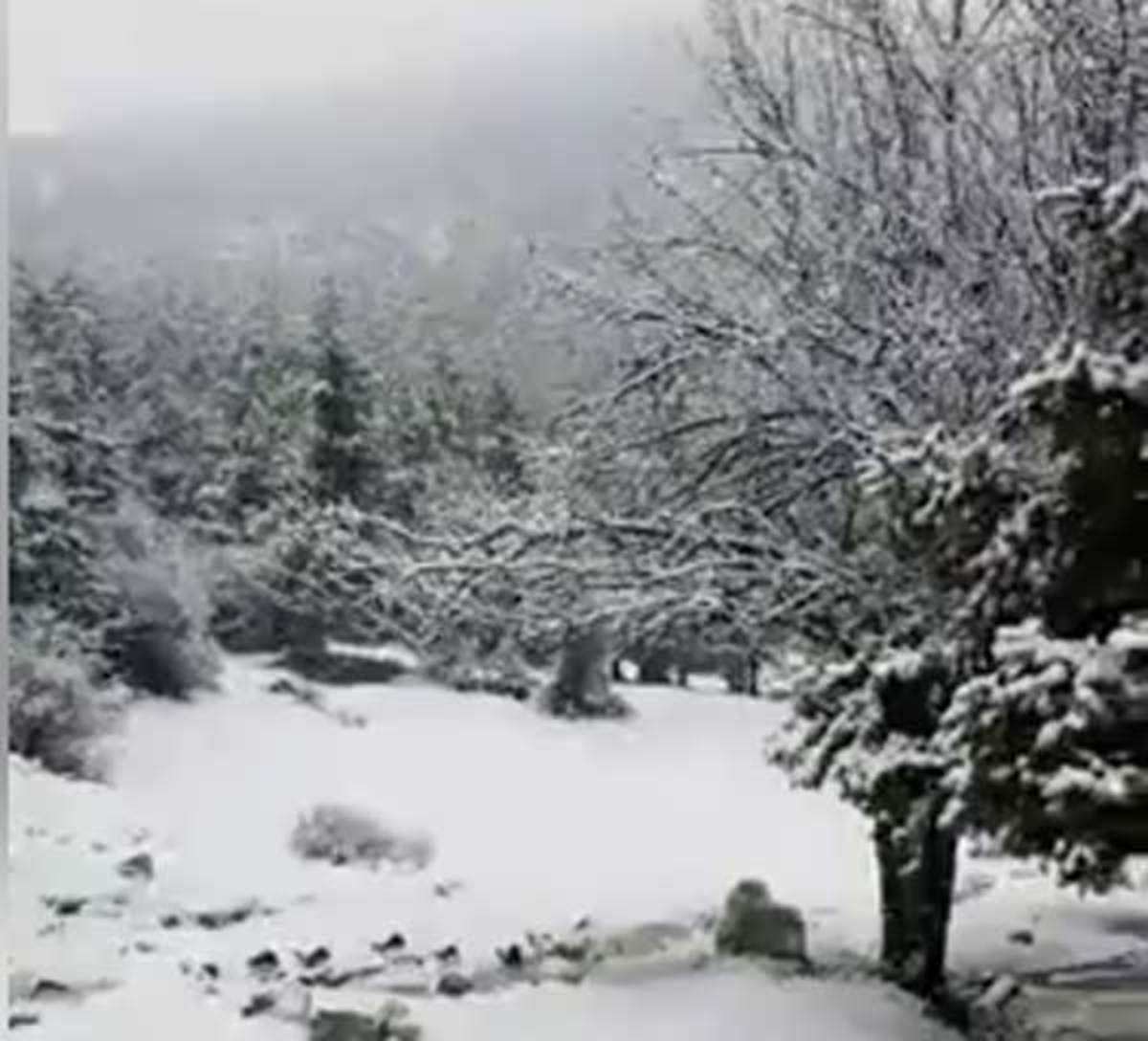 Καιρός: Το πρώτο χιόνι της χρονιάς στην Πάρνηθα! – Που χιονίζει σήμερα