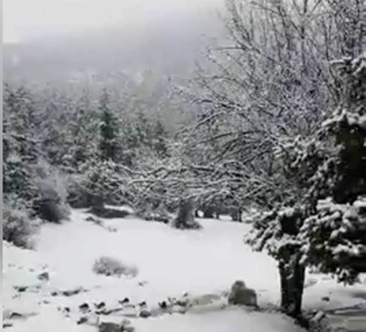 Καιρός: Η πρόγνωση για σήμερα Κυριακή (14/01)