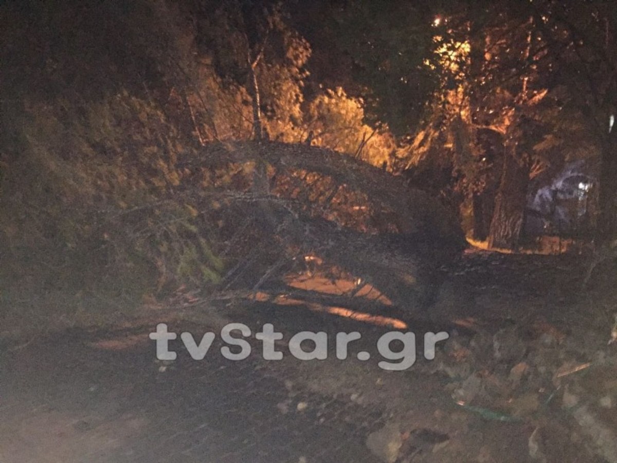 Φθιώτιδα: Ανεμοστρόβιλος σάρωσε την Υπάτη! [pics, vid]